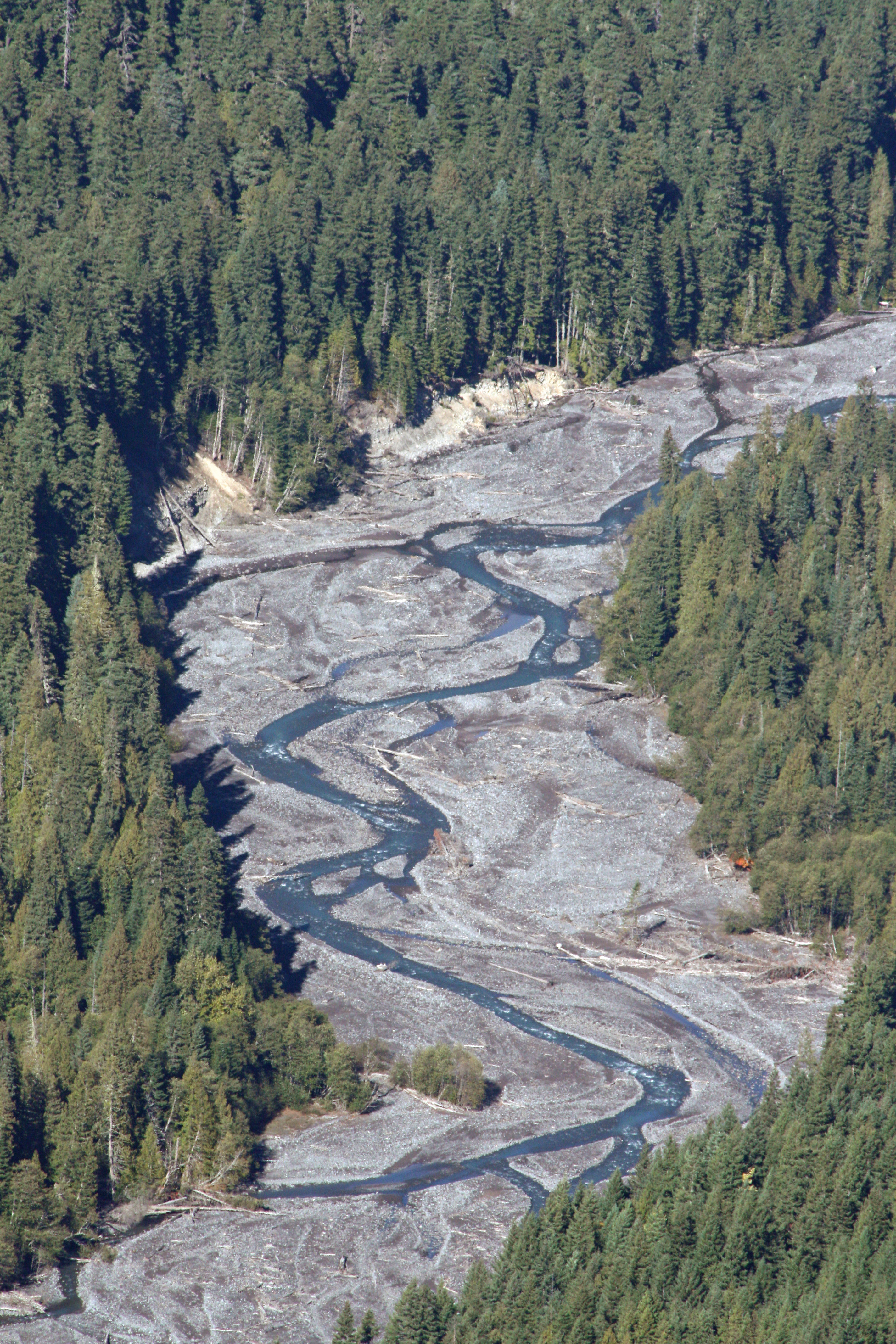 File:River in a Forest.jpg - Wikimedia Commons