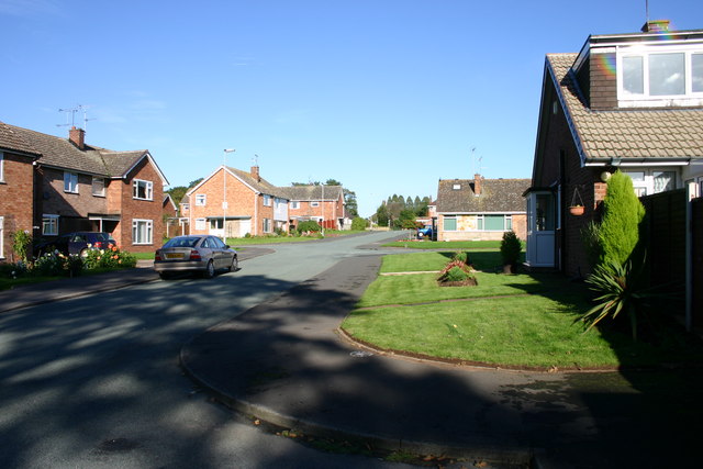 File:Wilkes Wood, Stafford - geograph.org.uk - 257121.jpg