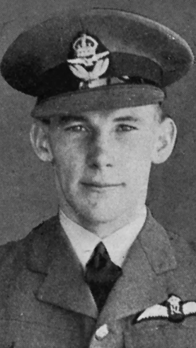 <span class="mw-page-title-main">William Hodgson (RAF officer)</span> New Zealand flying ace