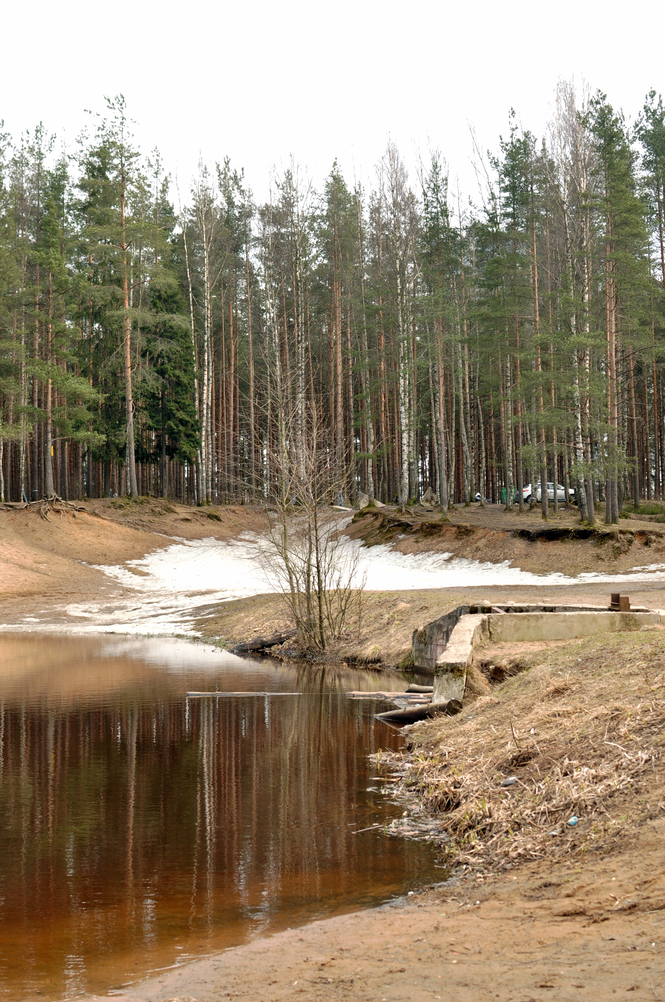 озеро в сертолово