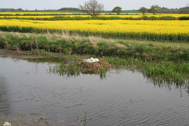 File:A circular walk from Redmile, (43) - geograph.org.uk - 794880.jpg