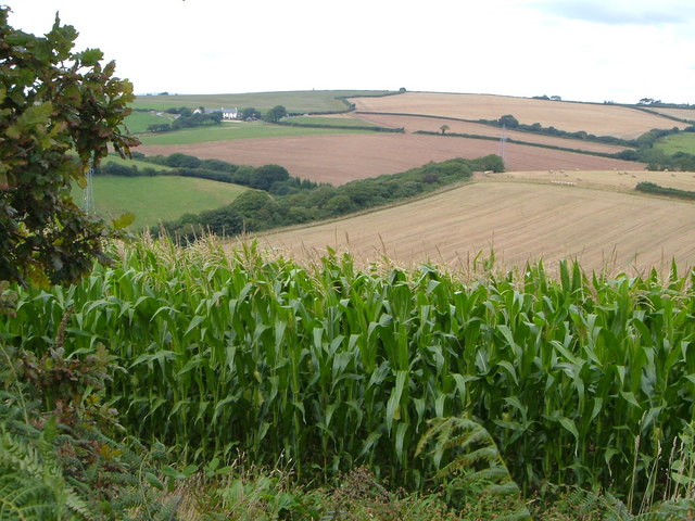 File:Across the Torr Brook valley - geograph.org.uk - 226337.jpg