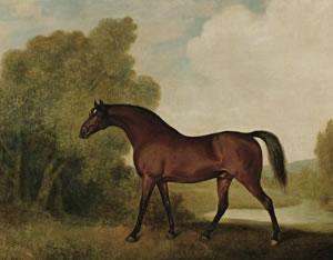 Ambrosio (horse) British Thoroughbred racehorse