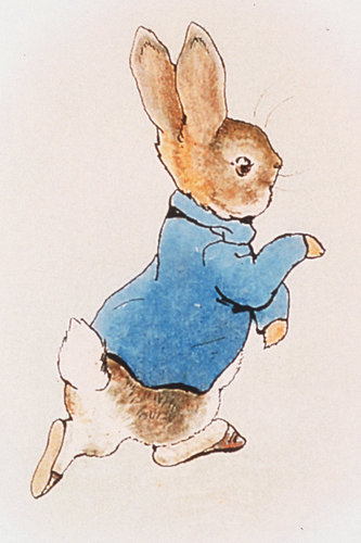 Beatrix Potter - Illustration History