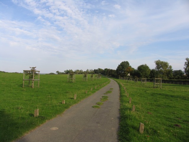 File:An avenue in the making from the other end - geograph.org.uk - 238810.jpg