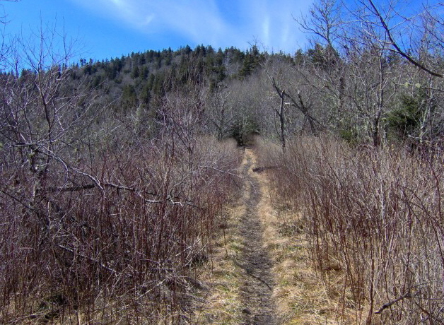 File:Appalachian-Trail-Old-Black3.jpg