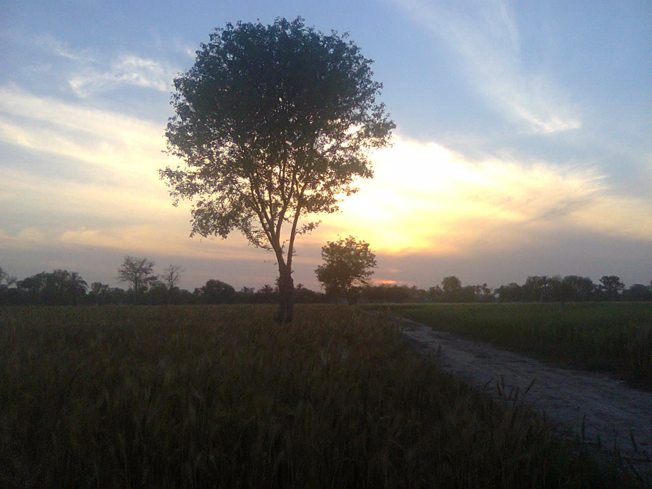File:Beautiful Evening in my village Mumdani.jpg - Wikimedia Commons