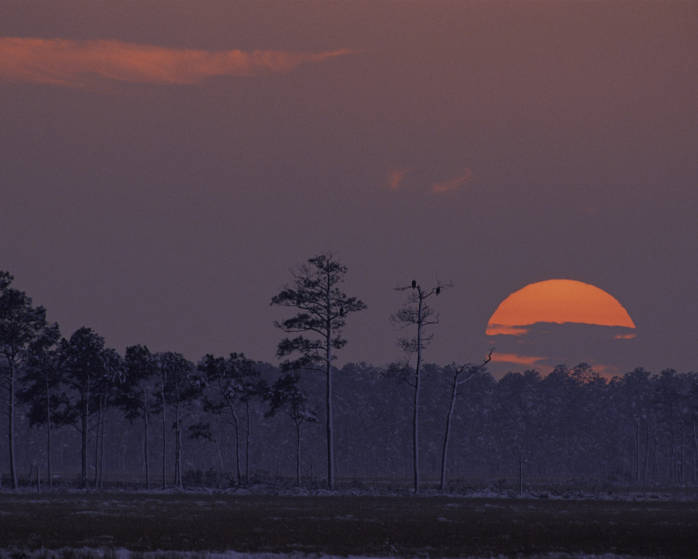 File:Blackwater National Wildlife Refuge (4730706747).jpg