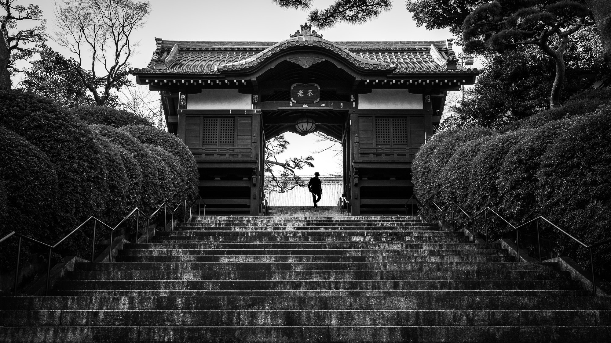 Japanese black. Черная Япония. Великий чёрный Япония. Japan Black and White. Японская черепица в Токио.