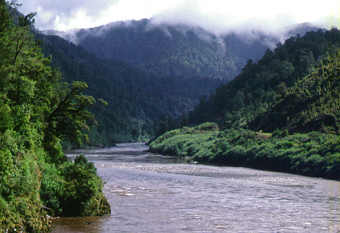 File:Buller River near Berlins.jpg