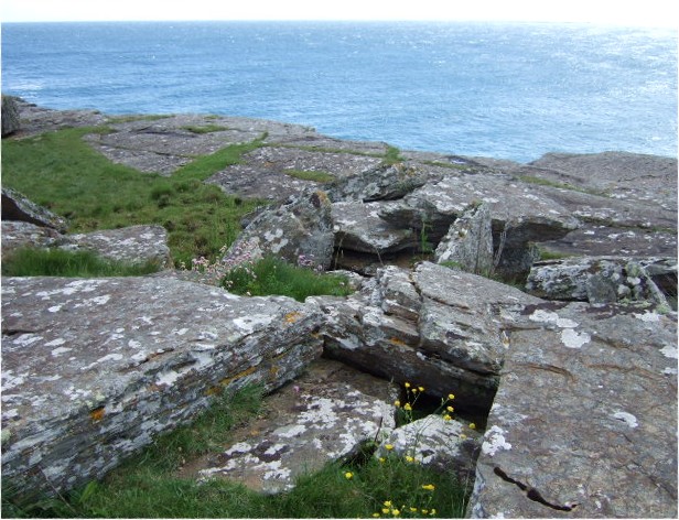 File:By the coast - geograph.org.uk - 487354.jpg