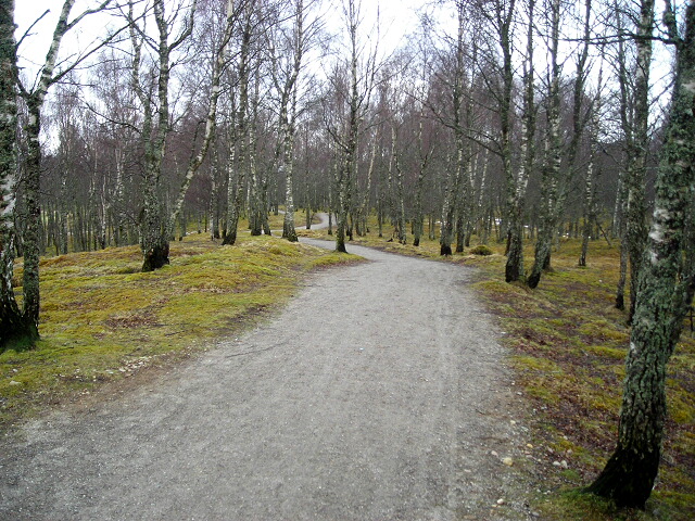 File:Cycleway Near Aviemore - geograph.org.uk - 764351.jpg