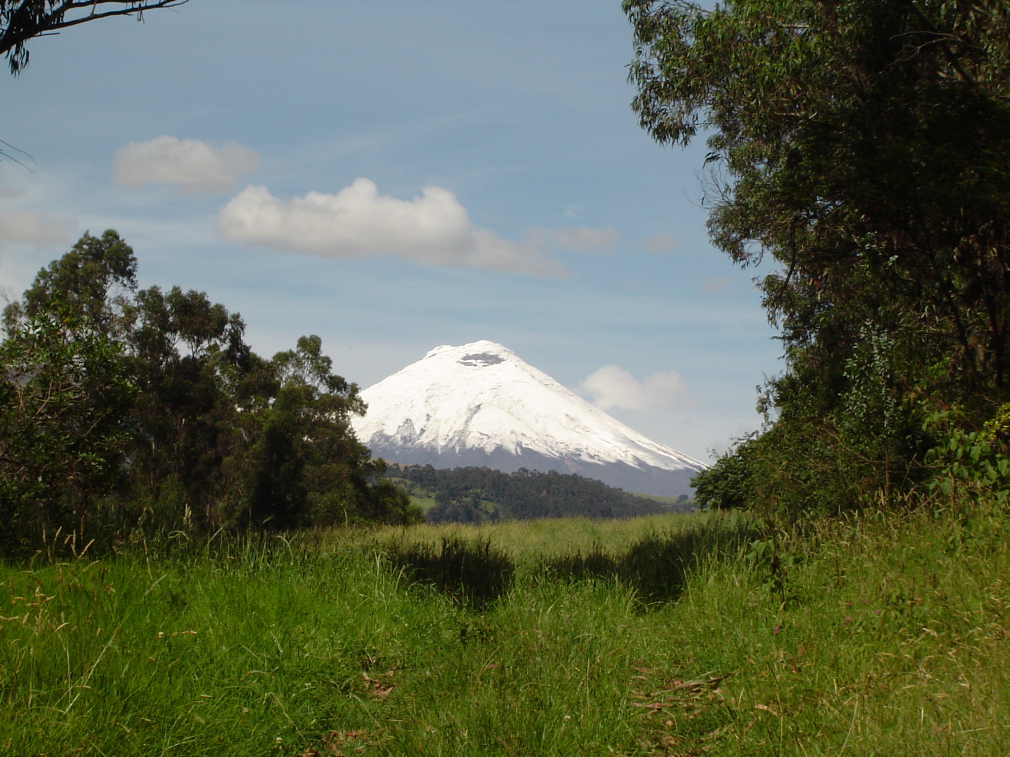 Parque Nacional Cotopaxi Wikipedia La Enciclopedia Libre