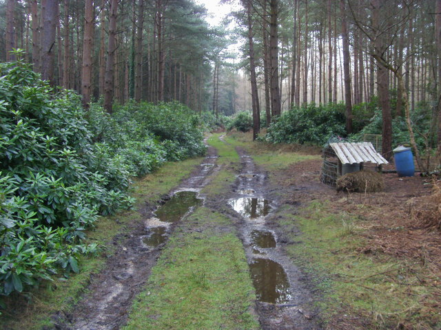 File:Feeding Station - geograph.org.uk - 1144214.jpg