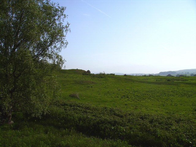 File:Field - geograph.org.uk - 454472.jpg