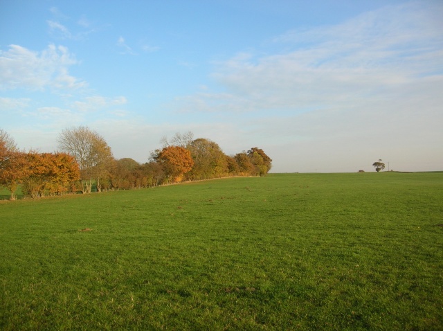 File:Field boundary near Holtby - geograph.org.uk - 610979.jpg