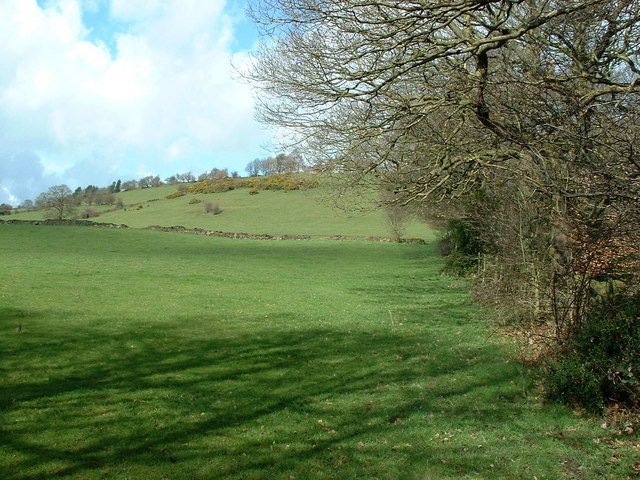 File:Fields next to Carr Wood - geograph.org.uk - 144968.jpg