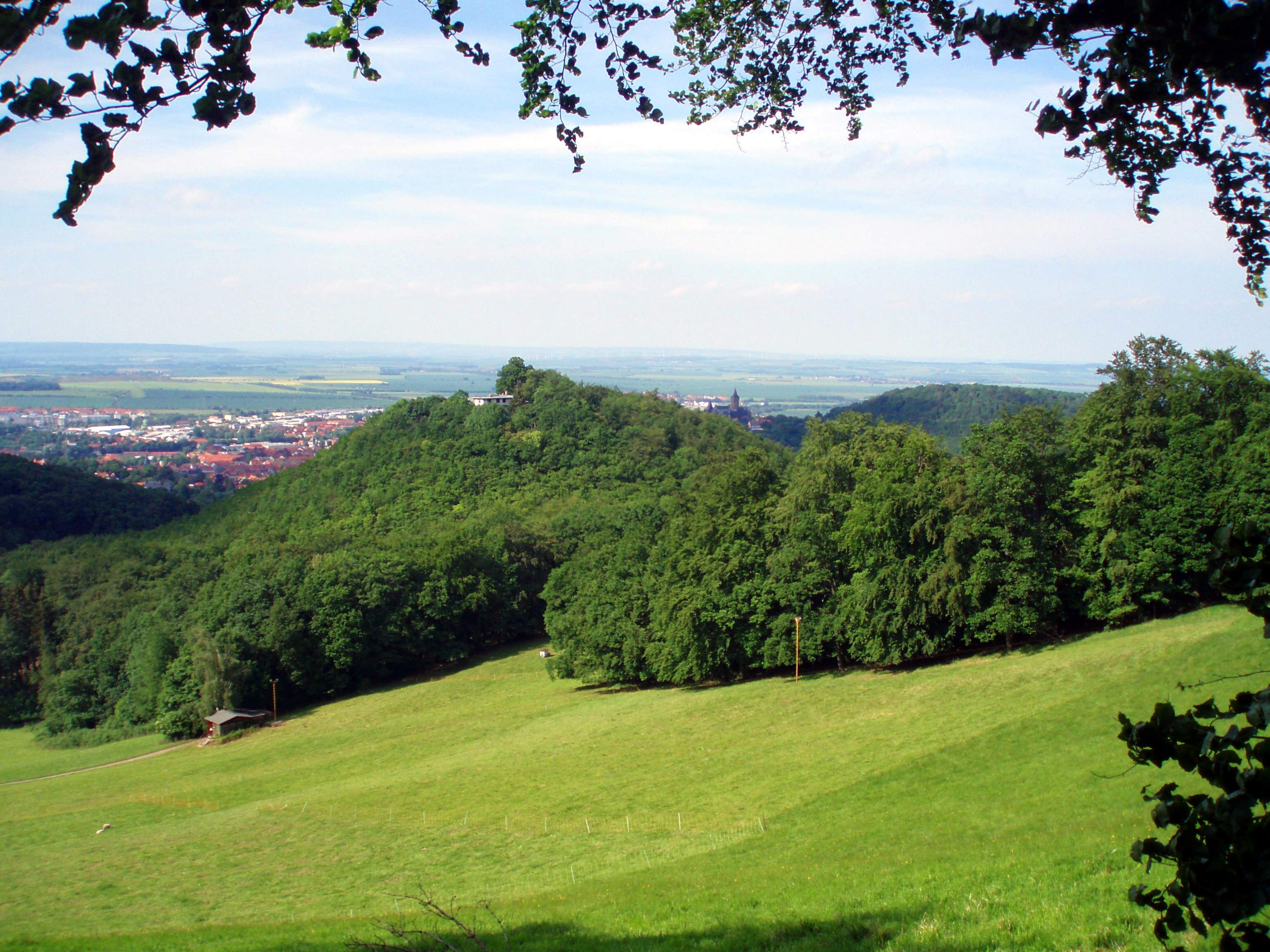 Blick zur Harburg