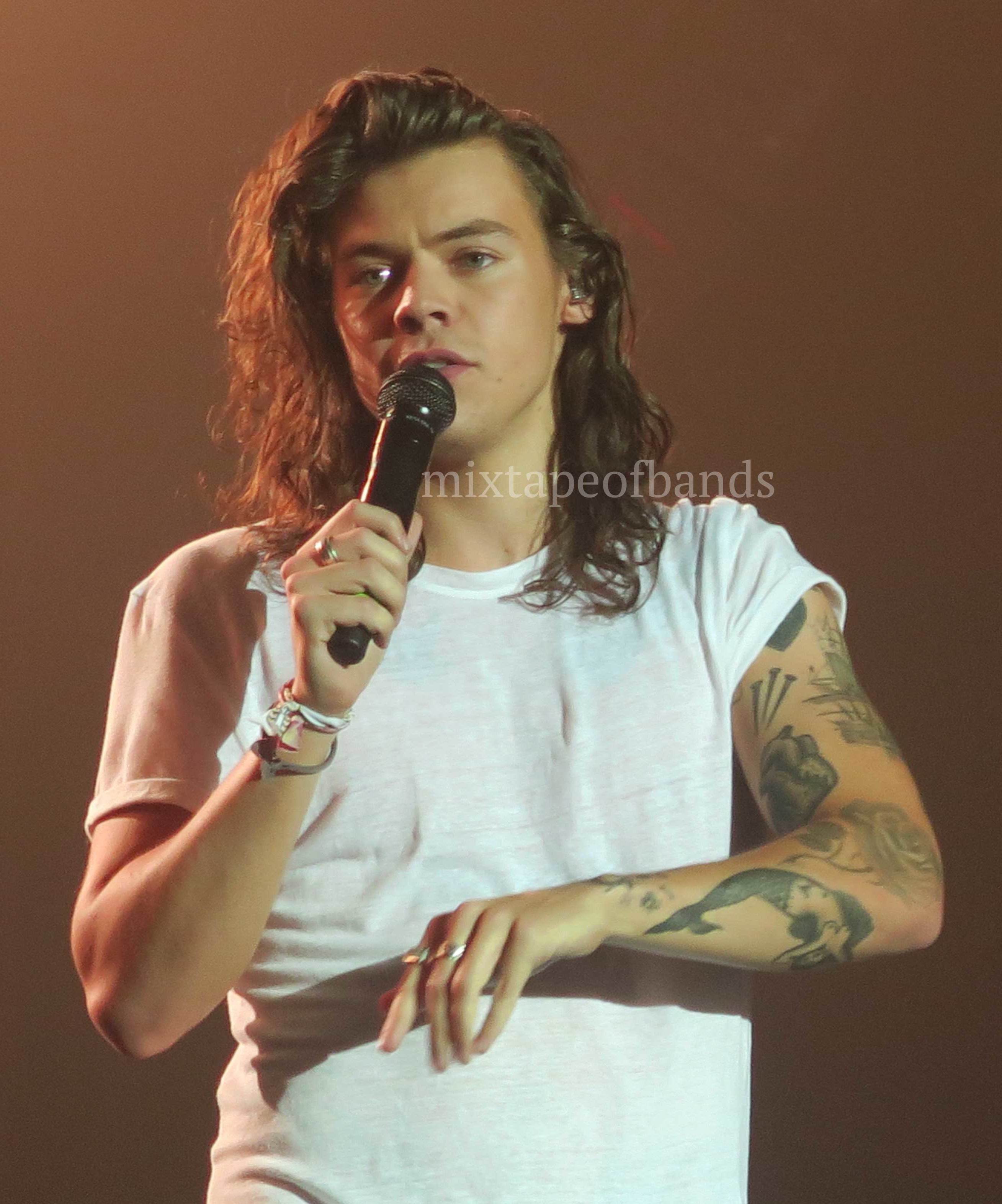 File:Harry Styles OTRA Tour 2015 (cropped).jpg - Wikimedia Commons