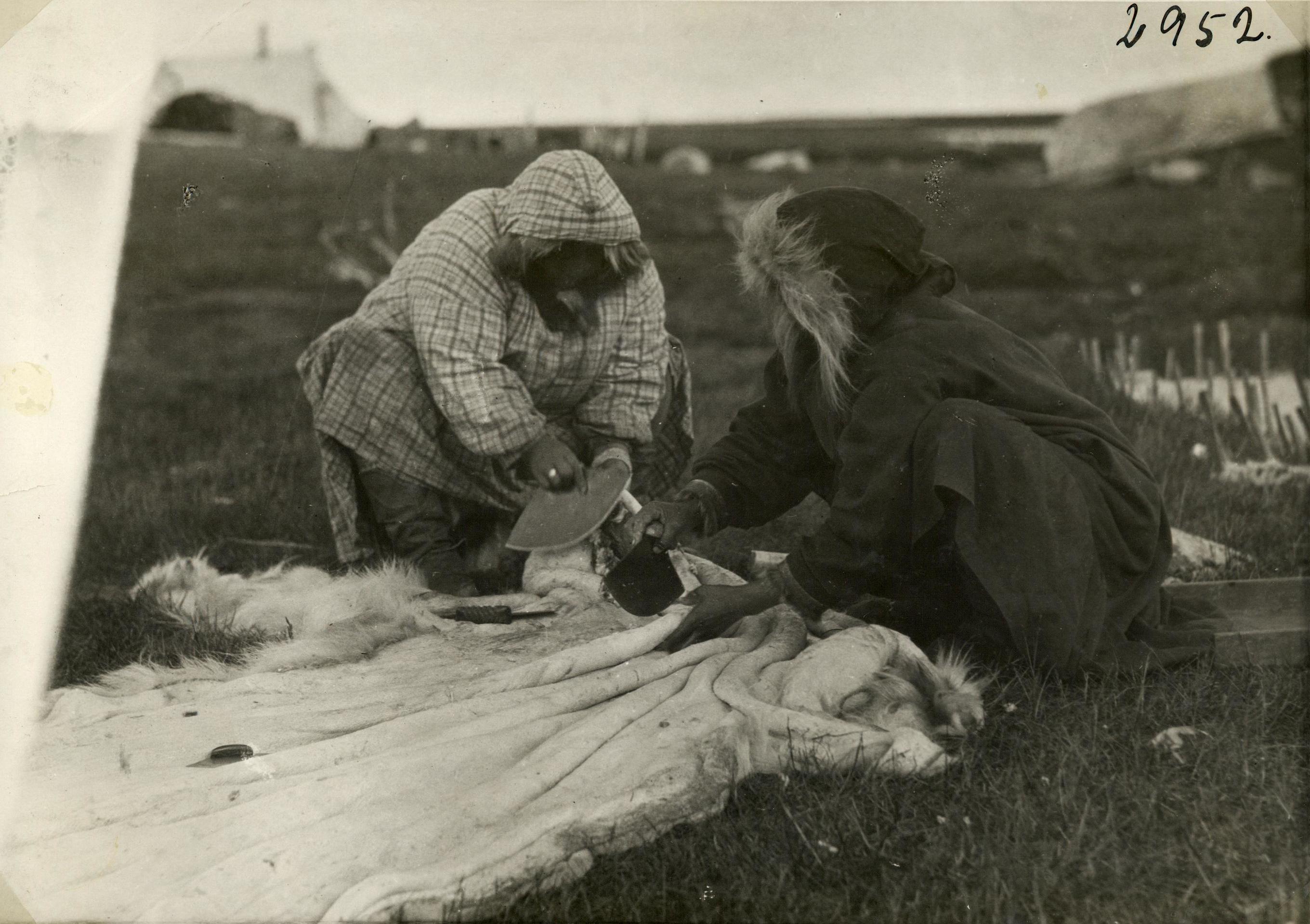 File:Inuitkvinder skraber - Inuit caribou skin (15143756777).jpg - Wikimedia Commons