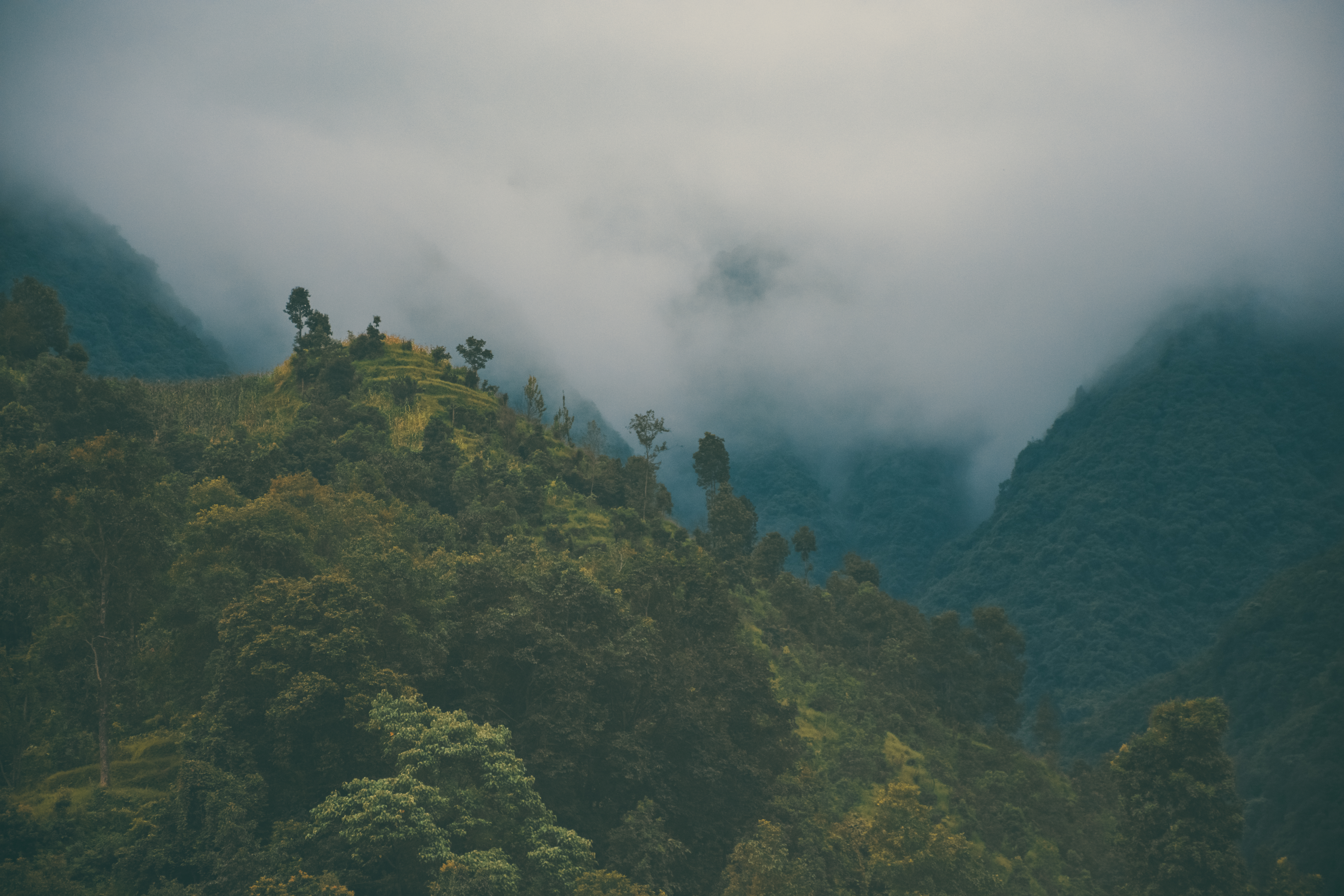 Джунгли вечером в среду. Горы в дымке. Дымка в горах. Леса Непала туман. Непал лес.