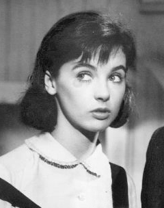 <span class="mw-page-title-main">Millie Perkins</span> American film and television actress (born 1938)