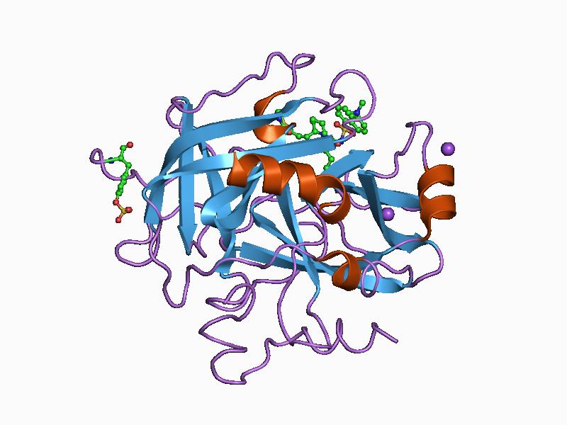 File:PDB 1a4w EBI.jpg