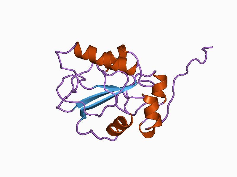 File:PDB 1c25 EBI.jpg