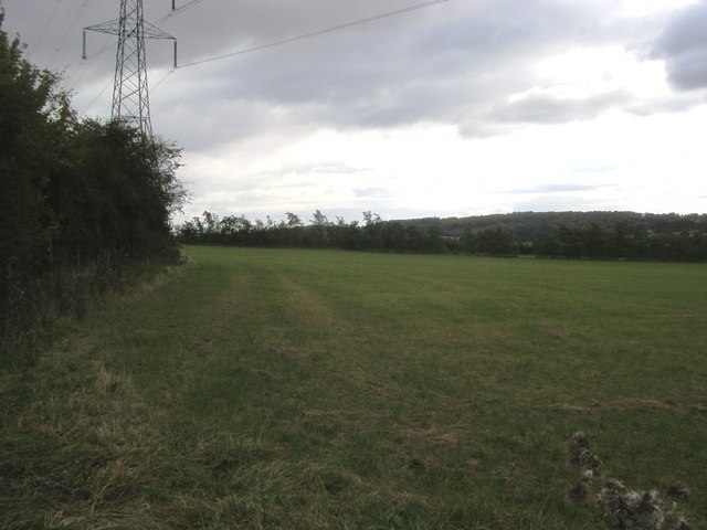 File:Pylon across the field - geograph.org.uk - 1054435.jpg