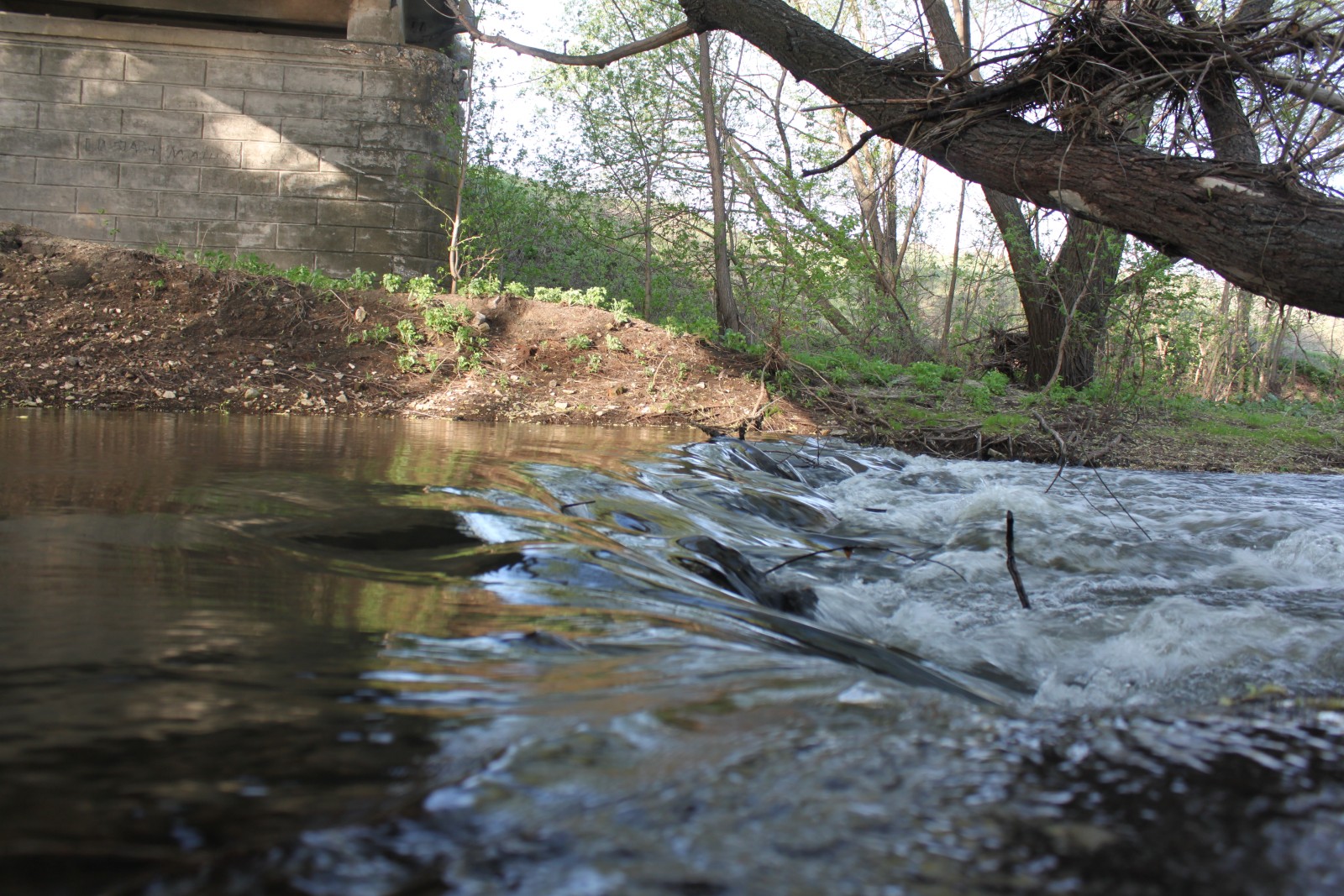 Проект чистая вода рязанская область