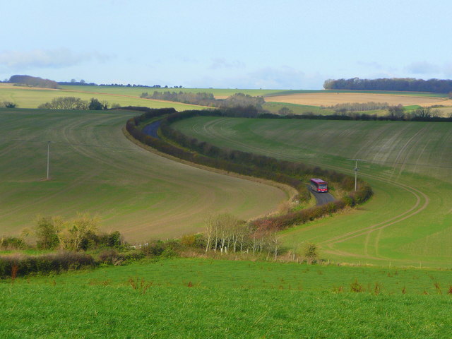 File:Sinuous curve in the lane - geograph.org.uk - 1053454.jpg