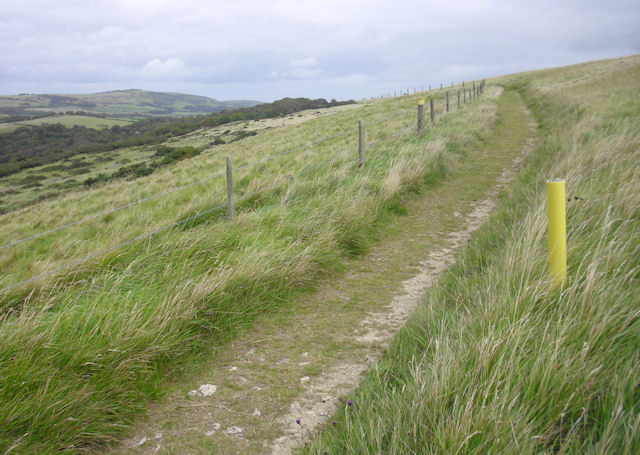 File:South West Coast Path, Gold Down - geograph.org.uk - 1521605.jpg