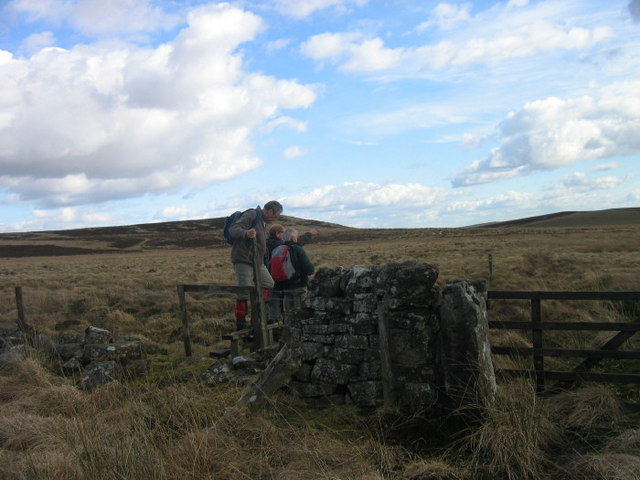 File:Stile near Great Dodd - geograph.org.uk - 1224086.jpg