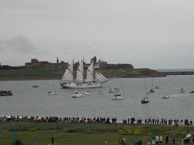 File:Tall Ships Race 2005 - geograph.org.uk - 31990.jpg