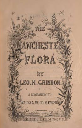 File:The Manchester Flora - Leo Grindon.png