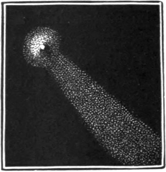 File:The story of the comets - Plate XIXa-3.jpg