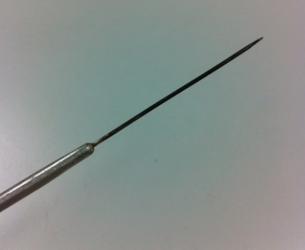 File:Tip of inoculation needle.jpg