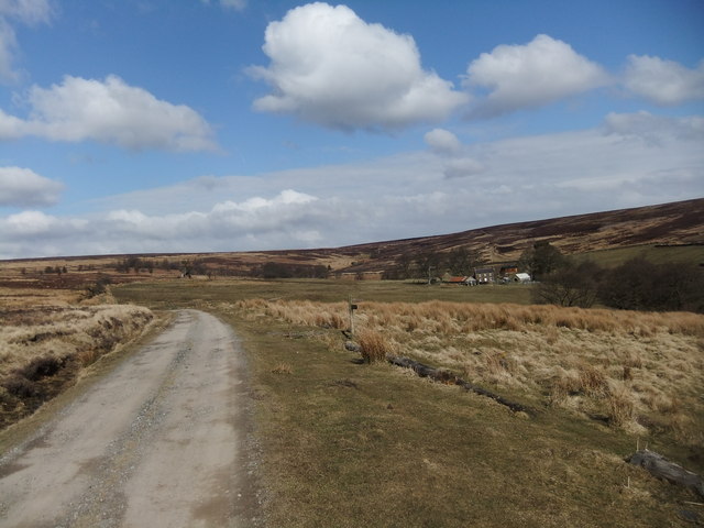 File:Track and footpath by North Ings - geograph.org.uk - 3397890.jpg