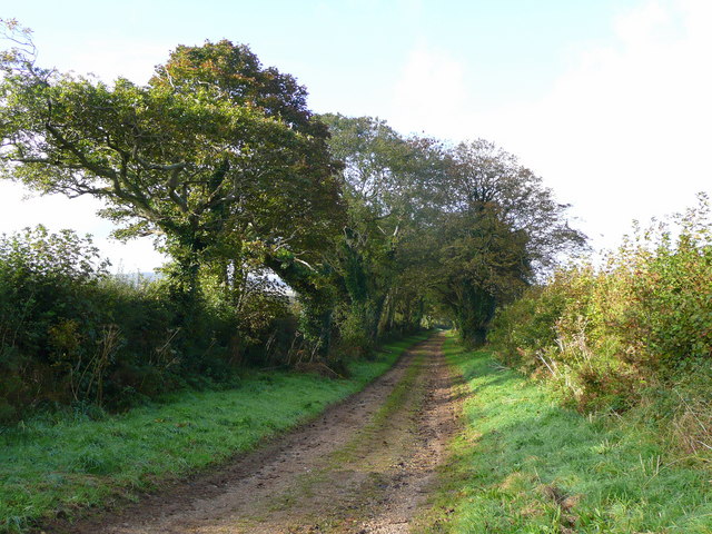 File:Track in Cornish farmland - geograph.org.uk - 1060676.jpg