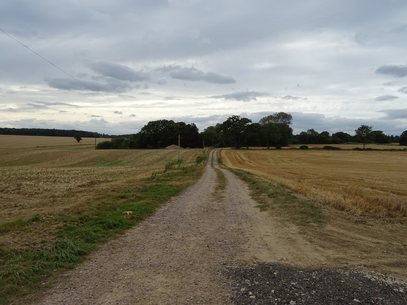 File:Track to Harram House - geograph.org.uk - 6256253.jpg