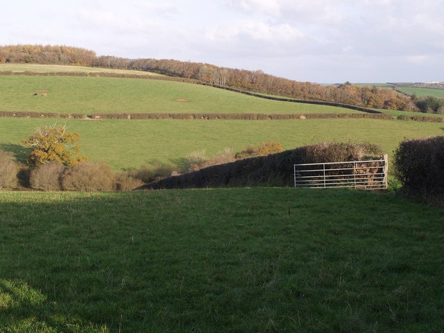 File:Valley above Tamatown - geograph.org.uk - 608352.jpg