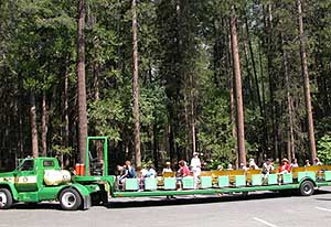 A open-air tram in the Yosemite Valley