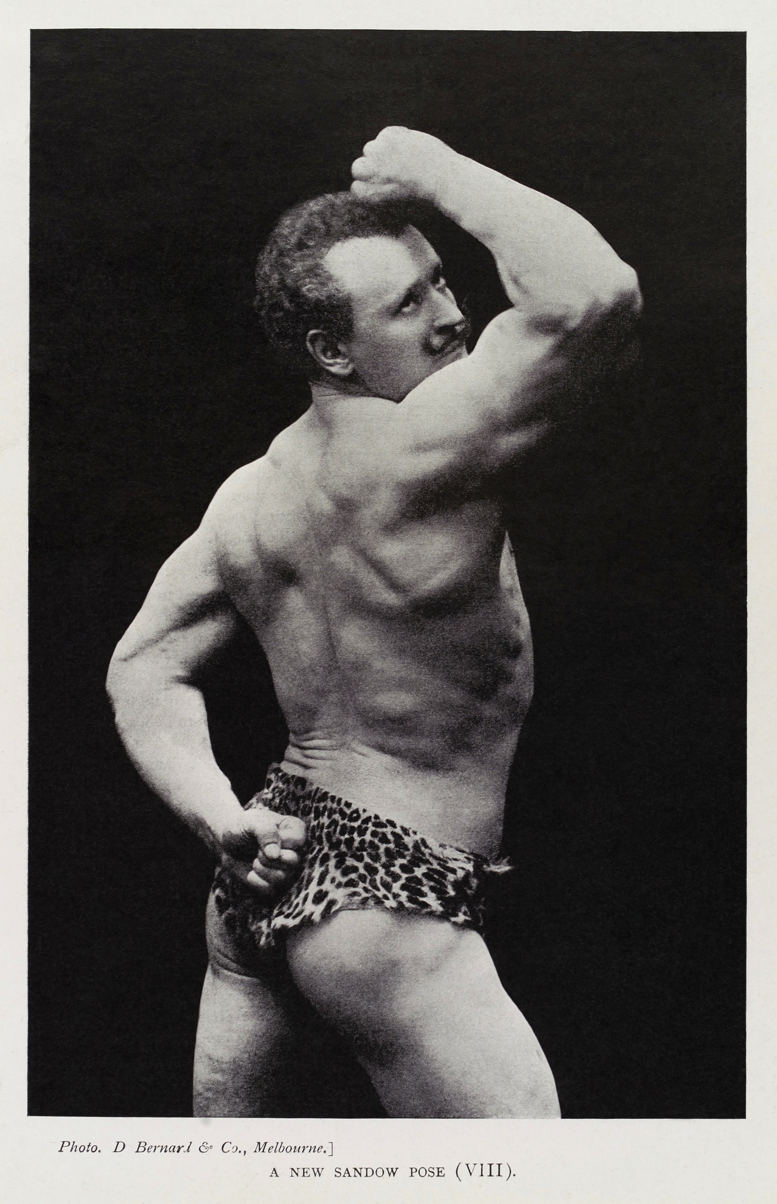 Eugen Sandow by American Photographer