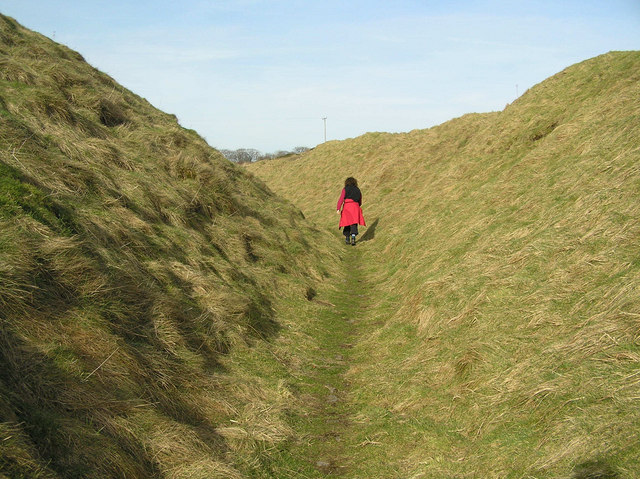 File:A Gruff or Gruffy ground - geograph.org.uk - 1206169.jpg