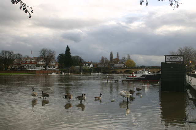 File:A high River Thames - geograph.org.uk - 817382.jpg