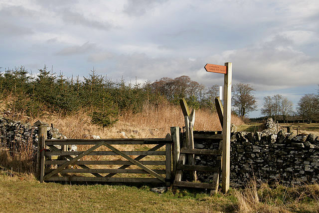 File:A ladder stile and signpost at Gala Rig - geograph.org.uk - 1174569.jpg