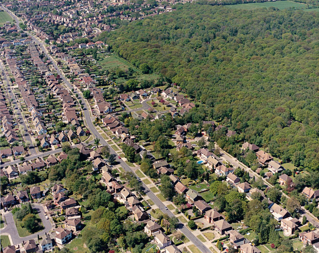 Aerial view of Scrub Lane and Belfairs Nature Reserve - geograph.org.uk - 1657027