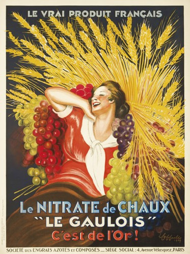 Poster Vitamines et Sels Minéraux