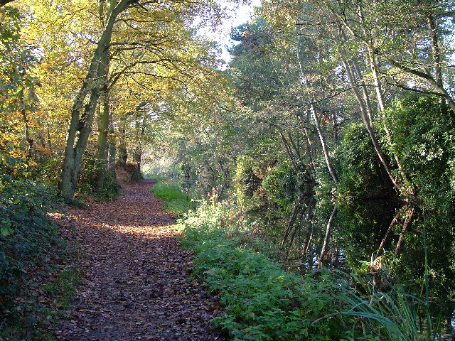 File:Basingstoke Canal, Sheerwater, Woking - geograph.org.uk - 22252.jpg