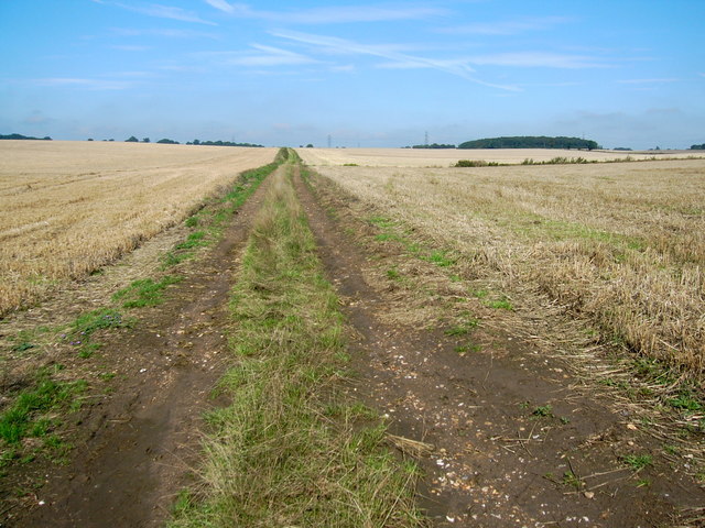 File:Bridleway to Churchend Common - geograph.org.uk - 534895.jpg